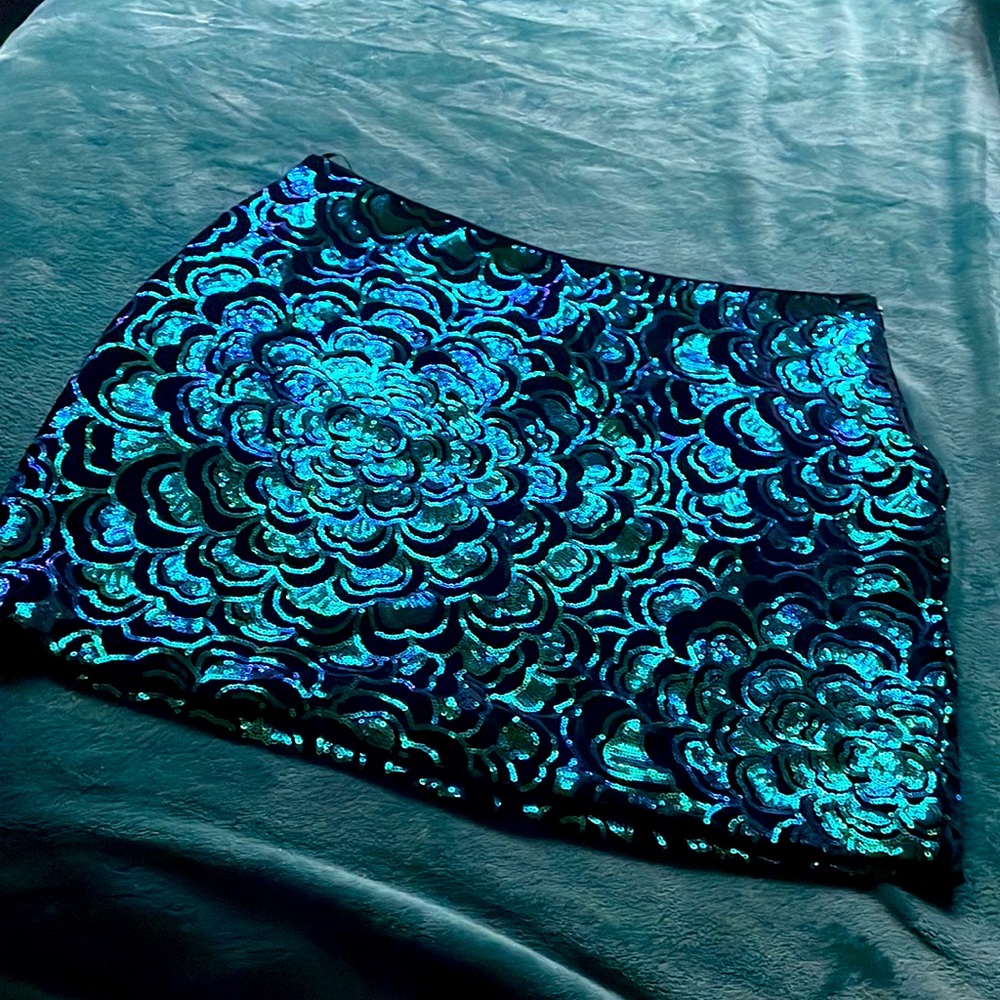 Sequin Skirt